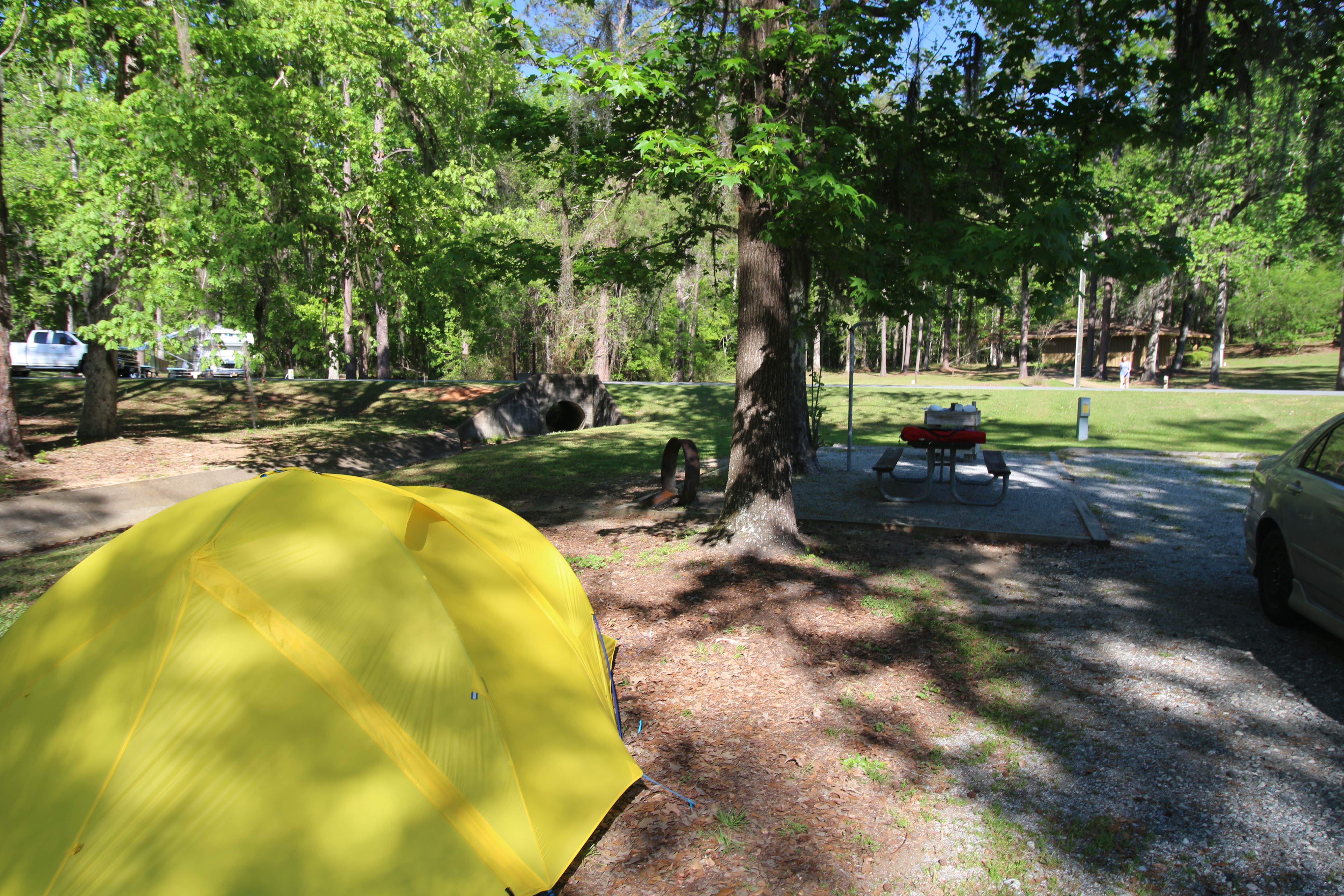 Camper submitted image from Eastbank - 4