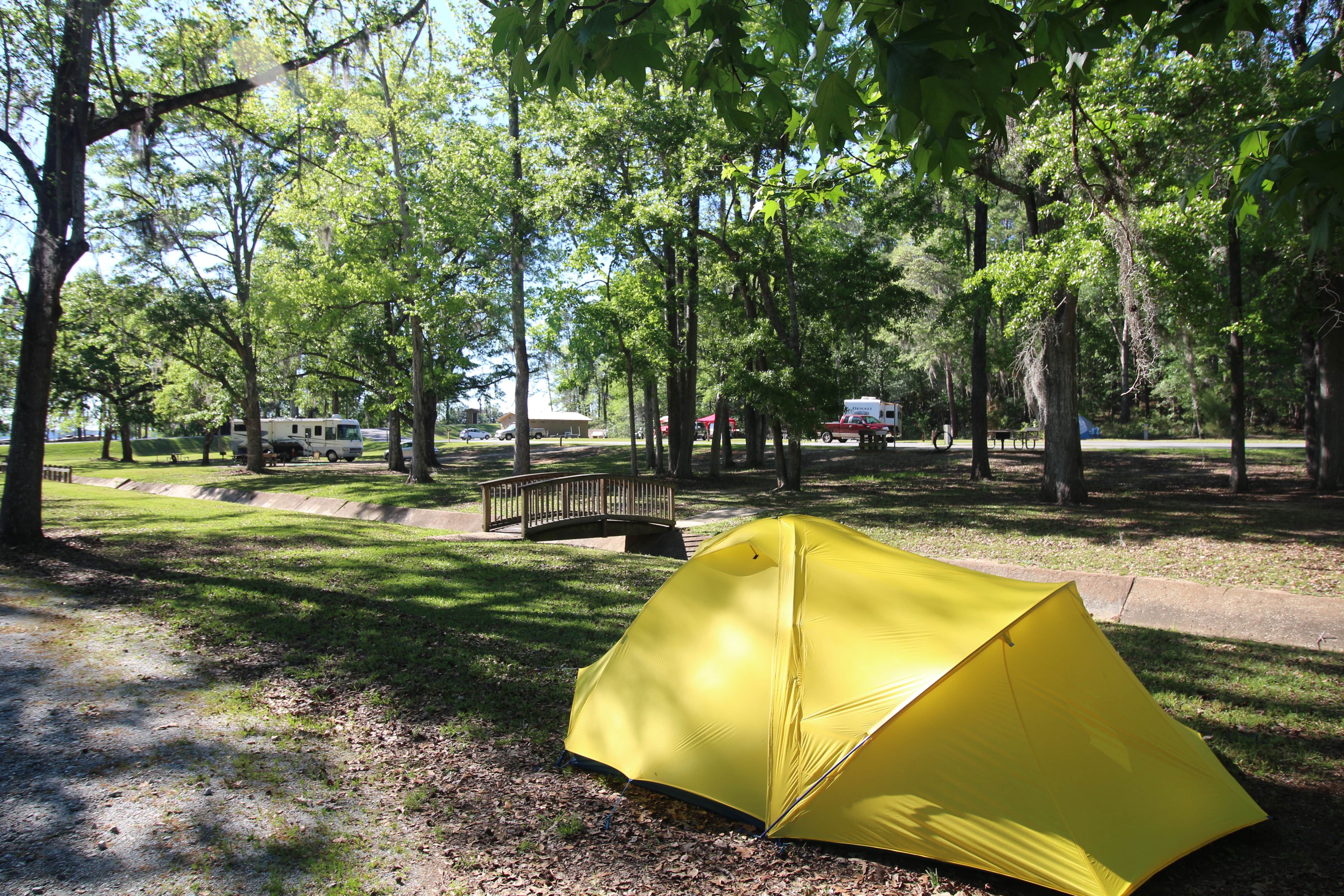 Elliott B.'s photo at Eastbank near Havana, FL