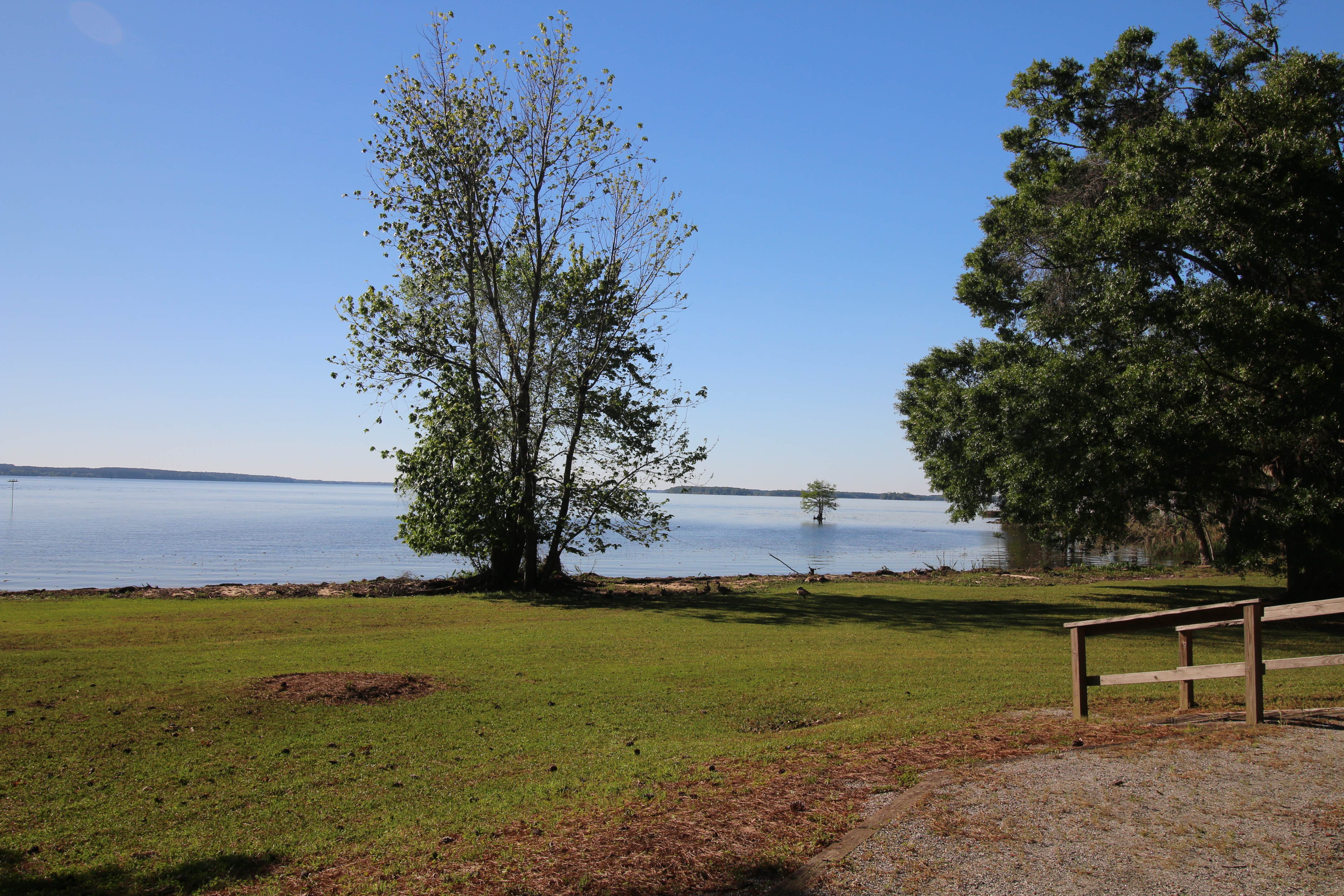 Camper submitted image from Eastbank - 3