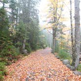 Review photo of Blackwoods Campground — Acadia National Park by Elliott B., May 3, 2017