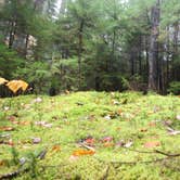 Review photo of Blackwoods Campground — Acadia National Park by Elliott B., May 3, 2017