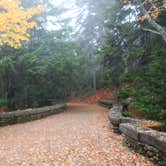 Review photo of Blackwoods Campground — Acadia National Park by Elliott B., May 3, 2017
