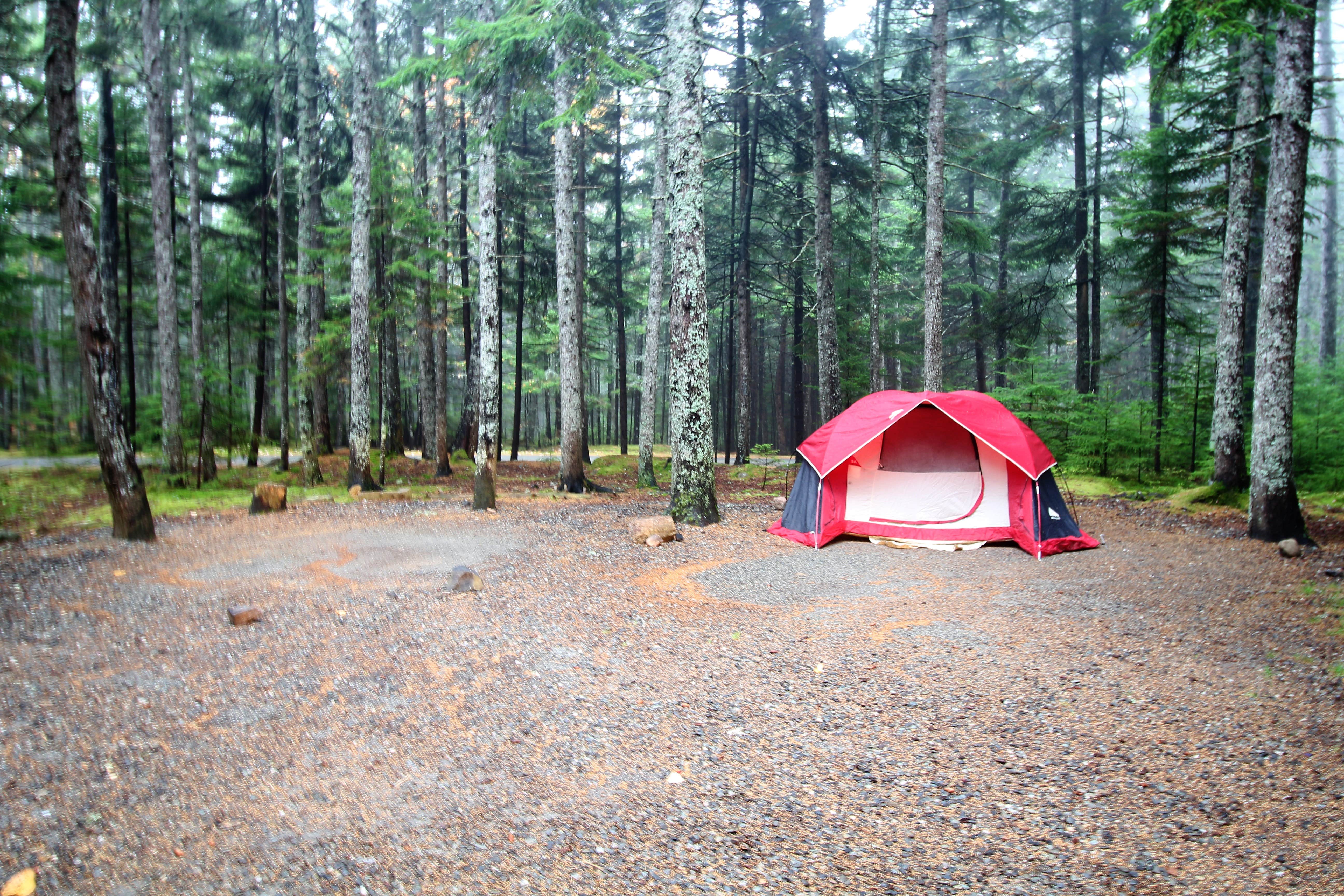 Elliott B.'s photo at Blackwoods Campground — Acadia National Park near Acadia National Park