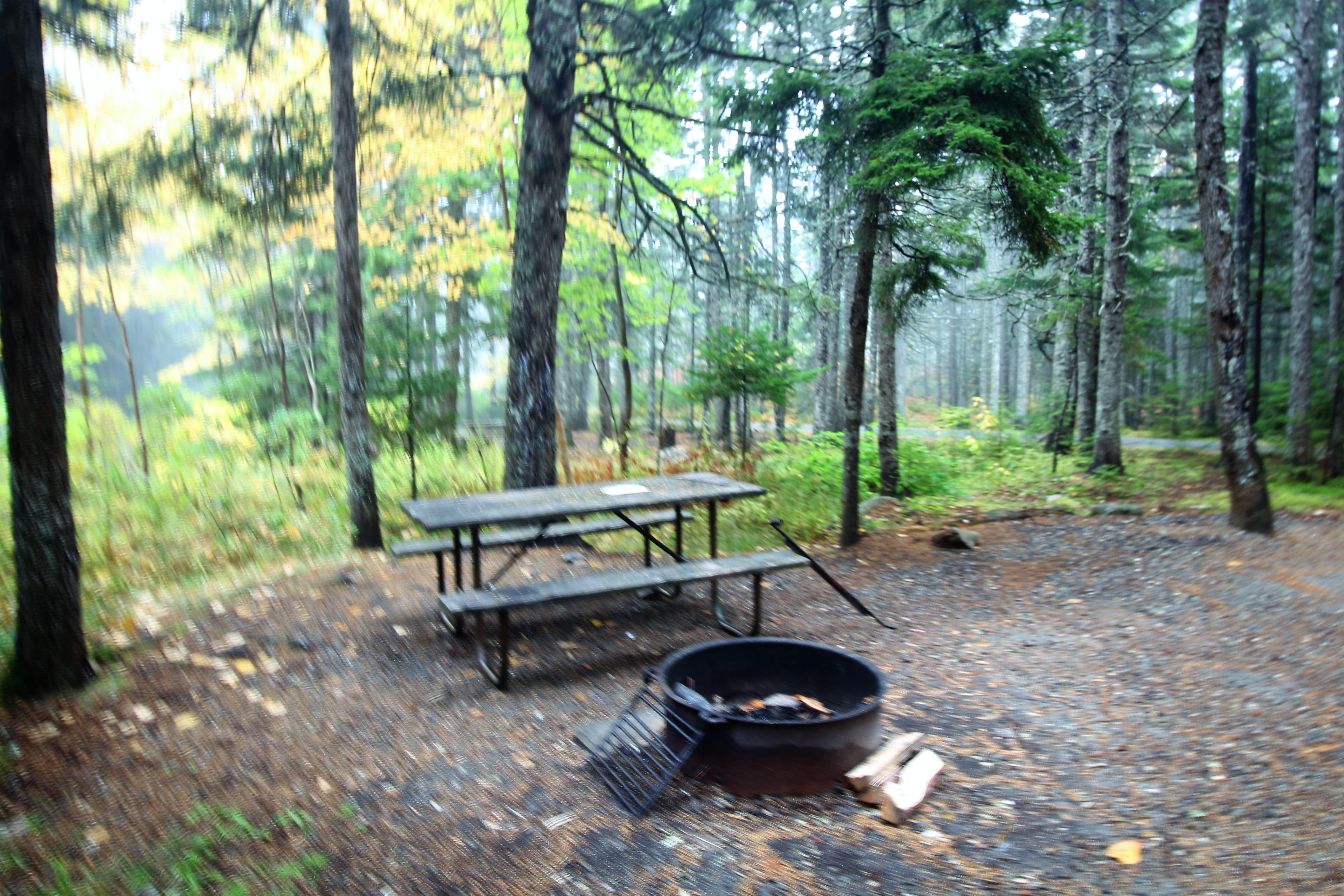 Blackwoods campground shop