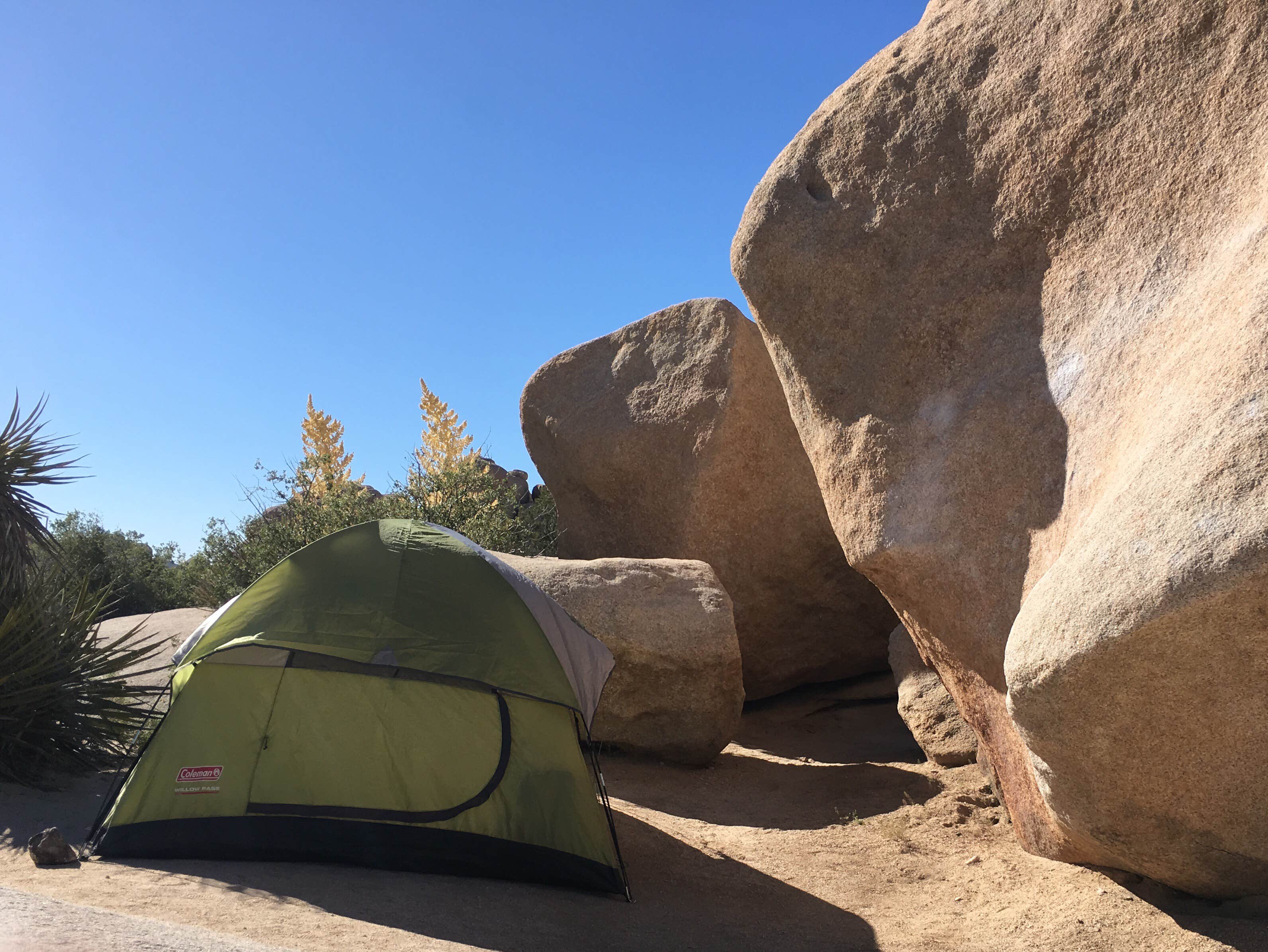Camper submitted image from Hidden Valley Campground — Joshua Tree National Park - 2
