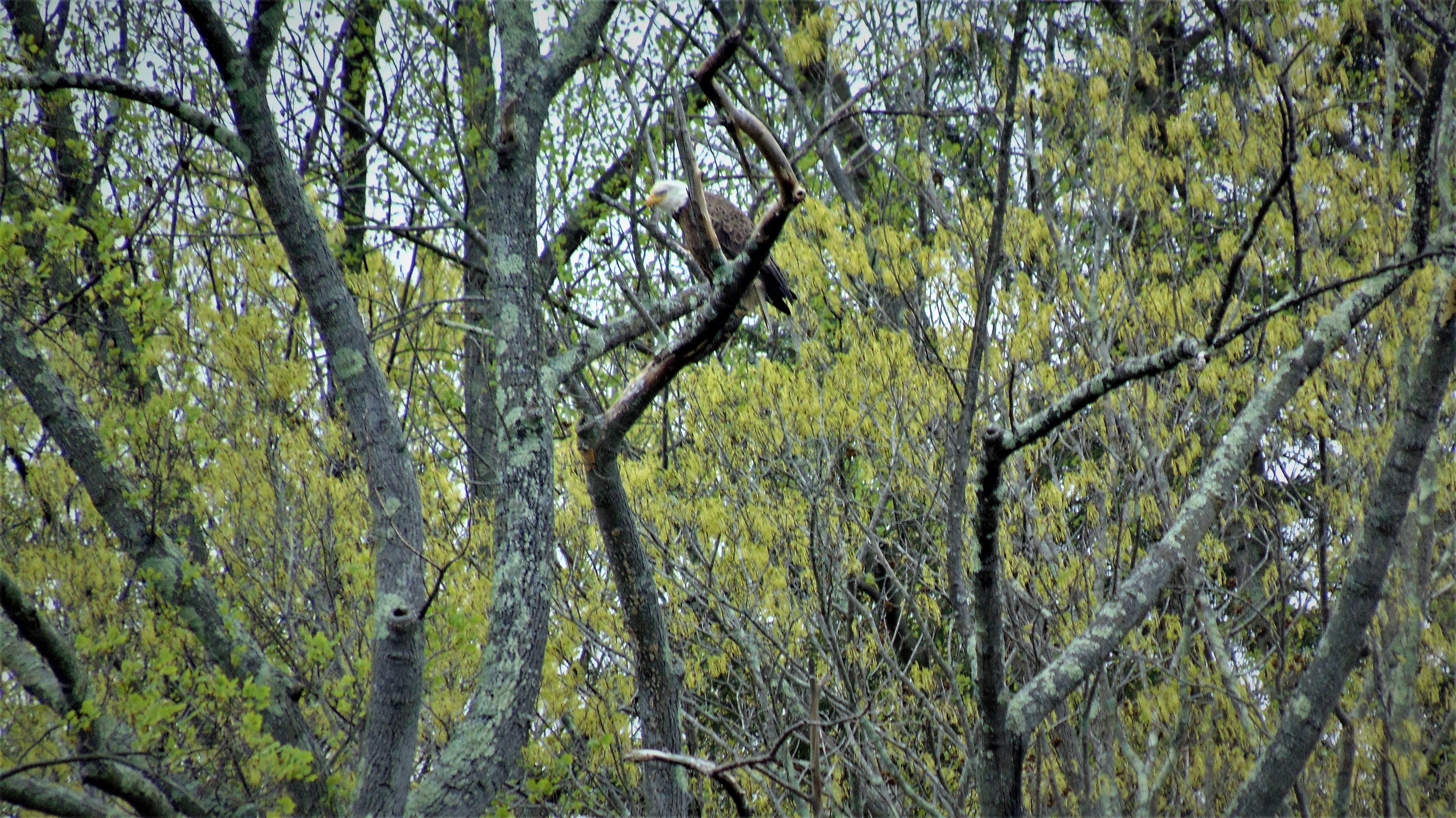 Camper-submitted photo at Namanock Island — Delaware Water Gap National Recreation Area near Tobyhanna, PA