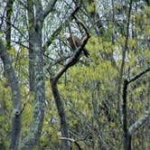 Review photo of Namanock Island — Delaware Water Gap National Recreation Area by John B., May 4, 2017