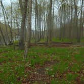 Review photo of Namanock Island — Delaware Water Gap National Recreation Area by John B., May 4, 2017