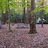 Review photo of Burke Lake Park Campground by Tom C., May 4, 2017