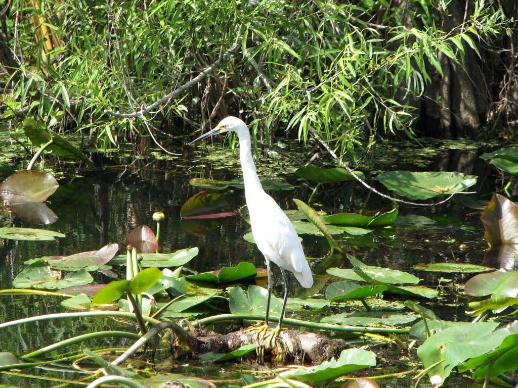 Camper-submitted photo at Canepatch Wilderness Campground — Everglades National Park near Palmetto Bay, FL