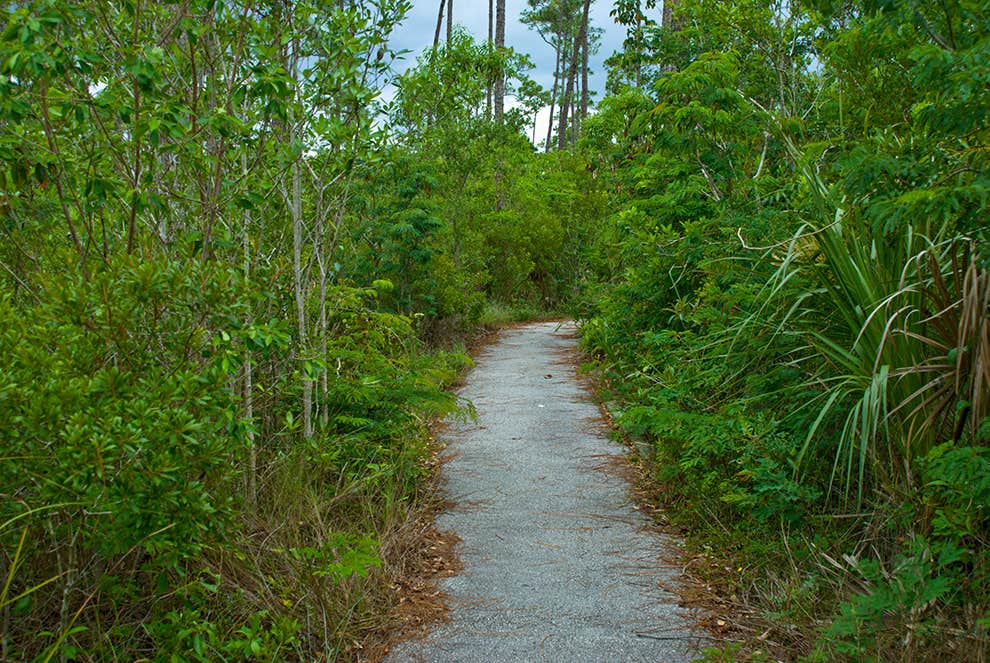Camper-submitted photo at Canepatch Wilderness Campground — Everglades National Park near Palmetto Bay, FL