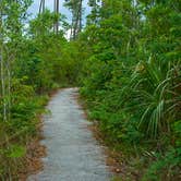 Review photo of Canepatch Wilderness Campground — Everglades National Park by Sasha W., May 4, 2017