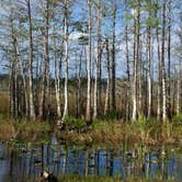 Review photo of Canepatch Wilderness Campground — Everglades National Park by Sasha W., May 4, 2017