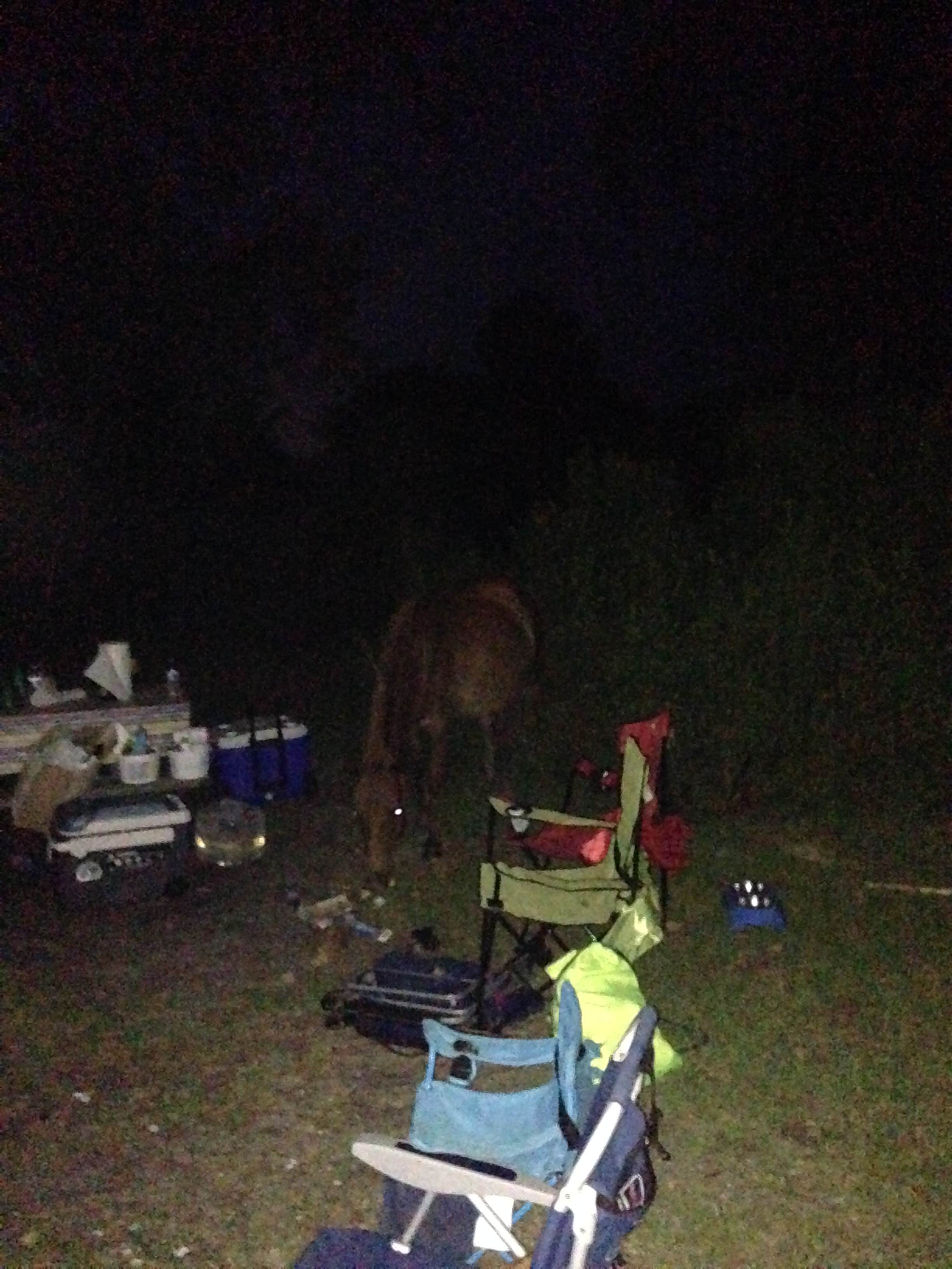 Tom C.'s photo at Bayside Assateague Campground — Assateague Island National Seashore near Pocomoke City, MD