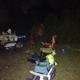 Review photo of Bayside Assateague Campground — Assateague Island National Seashore by Tom C., May 4, 2017