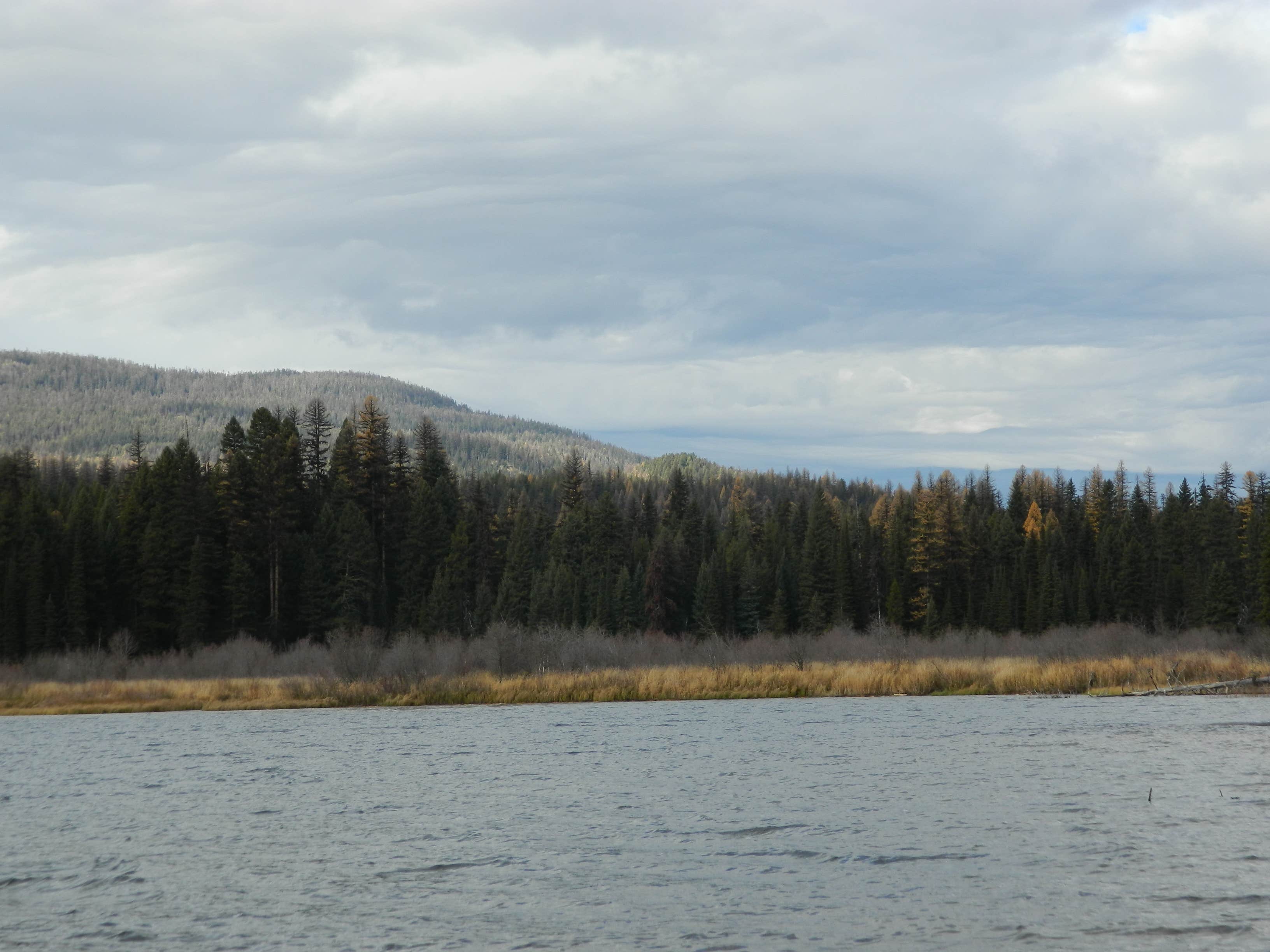 Camper submitted image from Lake Alva Campground - 3