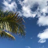 Review photo of Boyd's Key West Campground by Jason C., May 5, 2017