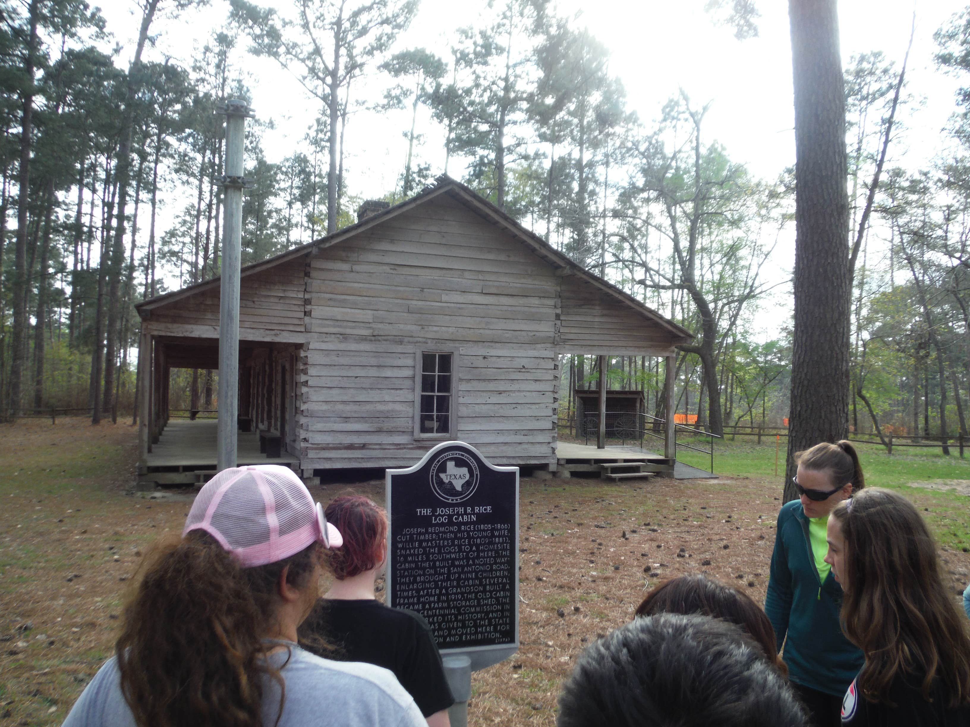 Camper submitted image from Mission Tejas State Park Campground - 5