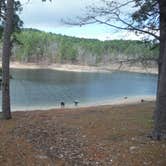 Review photo of Lake Ouachita State Park Campground by Brian V., May 5, 2017