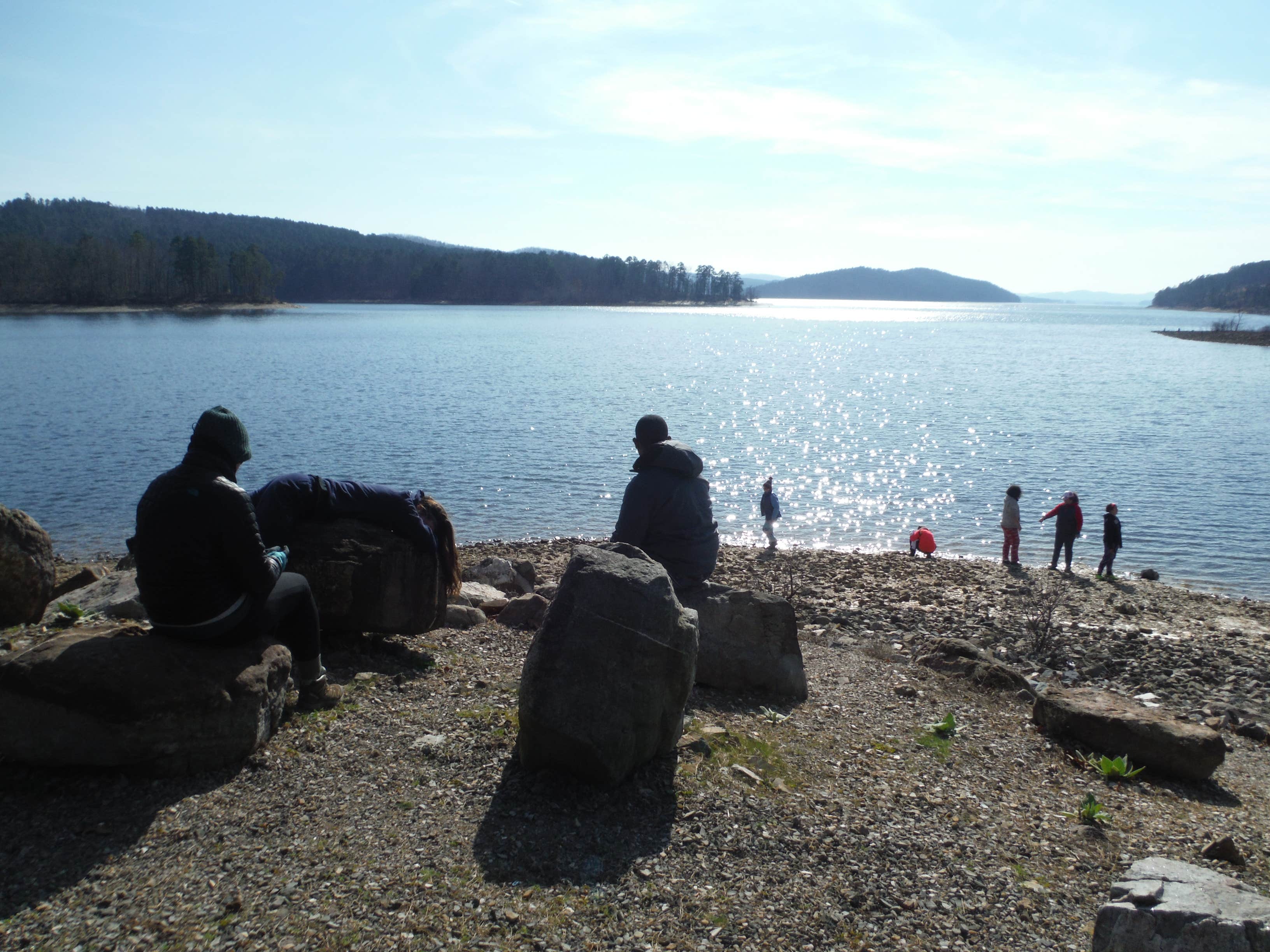 Camper submitted image from Lake Ouachita State Park Campground - 4