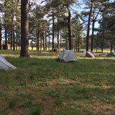 Review photo of El Prado Campground by Alexa S., May 5, 2017