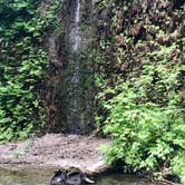 Review photo of Gold Bluffs Beach Campground — Prairie Creek Redwoods State Park by Justin L., May 5, 2017