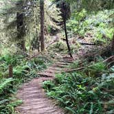 Review photo of Gold Bluffs Beach Campground — Prairie Creek Redwoods State Park by Justin L., May 5, 2017