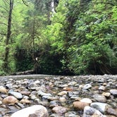 Review photo of Gold Bluffs Beach Campground — Prairie Creek Redwoods State Park by Justin L., May 5, 2017