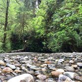 Review photo of Gold Bluffs Beach Campground — Prairie Creek Redwoods State Park by Justin L., May 5, 2017