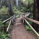 Review photo of Gold Bluffs Beach Campground — Prairie Creek Redwoods State Park by Justin L., May 5, 2017