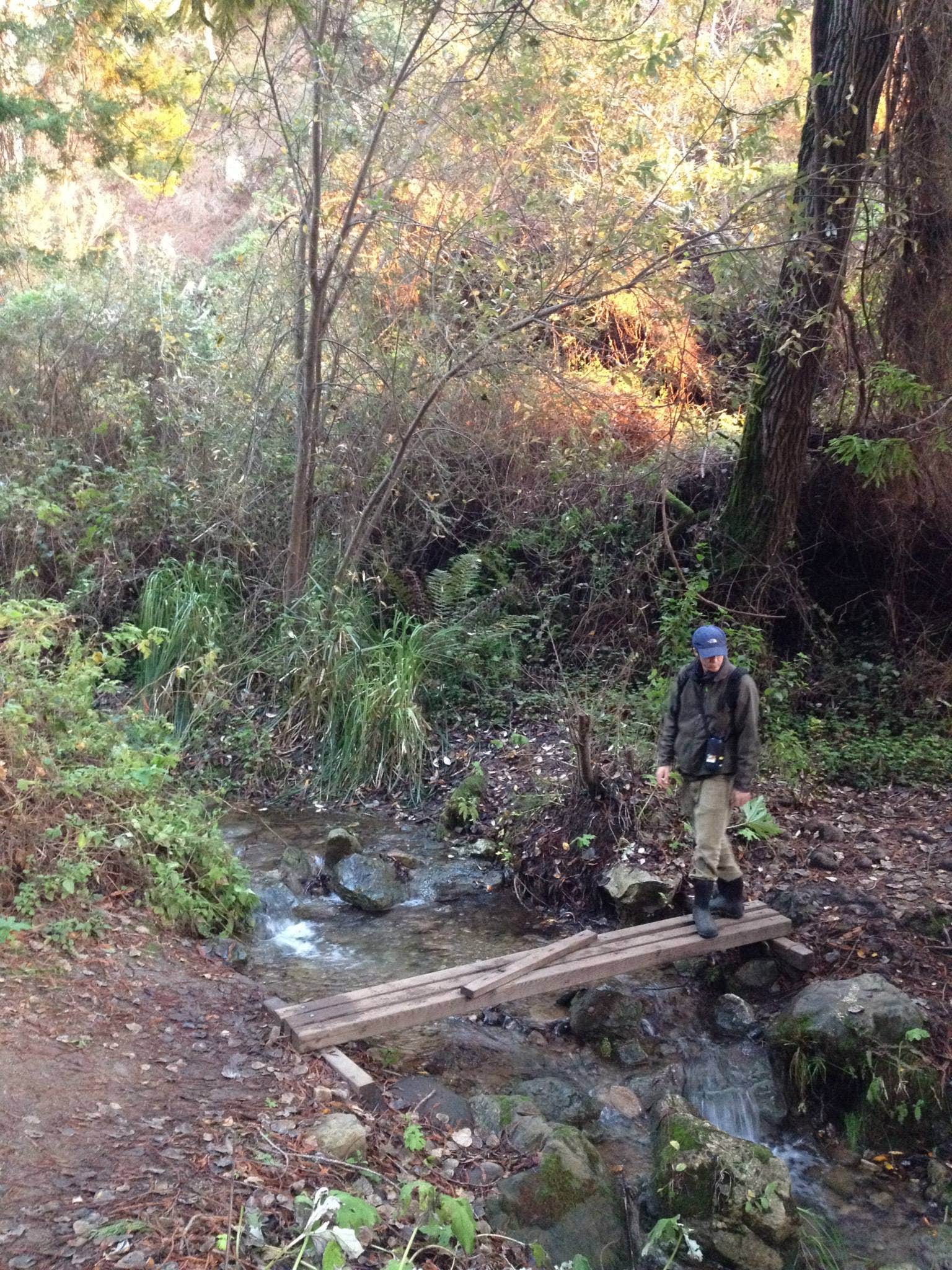 Camper-submitted photo at Kirk Creek Campground near Pinnacles National Park