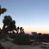 Review photo of Black Rock Campground — Joshua Tree National Park by Justin L., May 5, 2017