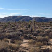 Review photo of Black Rock Campground — Joshua Tree National Park by Justin L., May 5, 2017