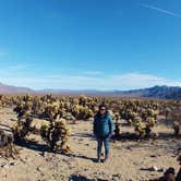 Review photo of Black Rock Campground — Joshua Tree National Park by Justin L., May 5, 2017