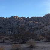 Review photo of Black Rock Campground — Joshua Tree National Park by Justin L., May 5, 2017
