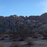 Review photo of Black Rock Campground — Joshua Tree National Park by Justin L., May 5, 2017