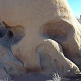 Review photo of Black Rock Campground — Joshua Tree National Park by Justin L., May 5, 2017