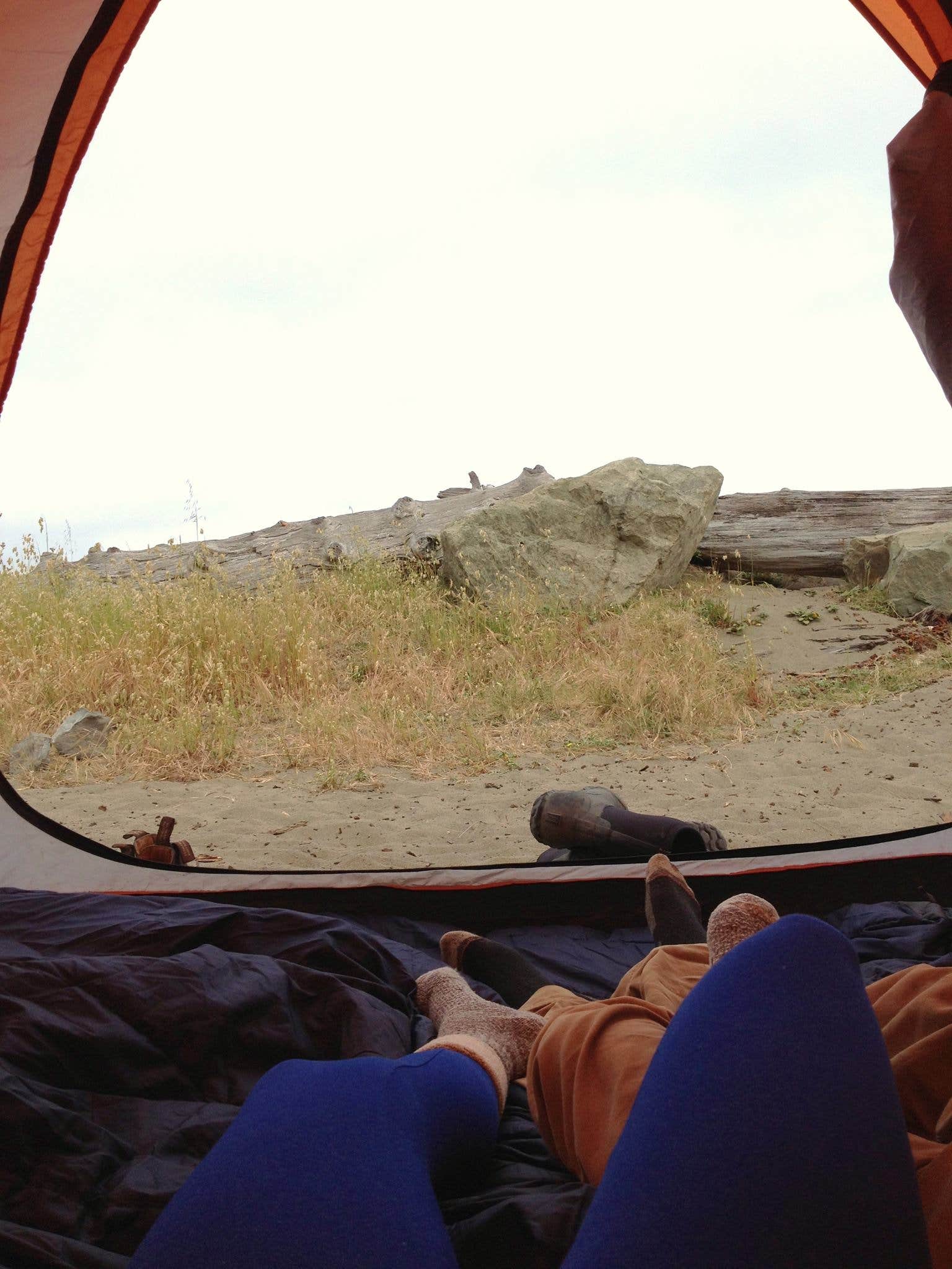 Camper submitted image from Mattole Campground - 3