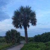 Review photo of Myrtle Beach State Park Campground by Michelle A., May 6, 2017