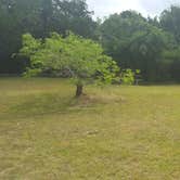 Review photo of McKinney Falls State Park Campground by Brian V., May 6, 2017