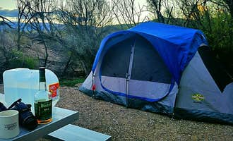 Camping near Terlingua Abajo — Big Bend National Park: Cottonwood Campground — Big Bend National Park, Terlingua, Texas