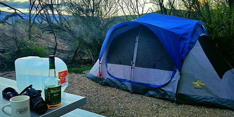 Camper submitted image from Cottonwood Campground — Big Bend National Park