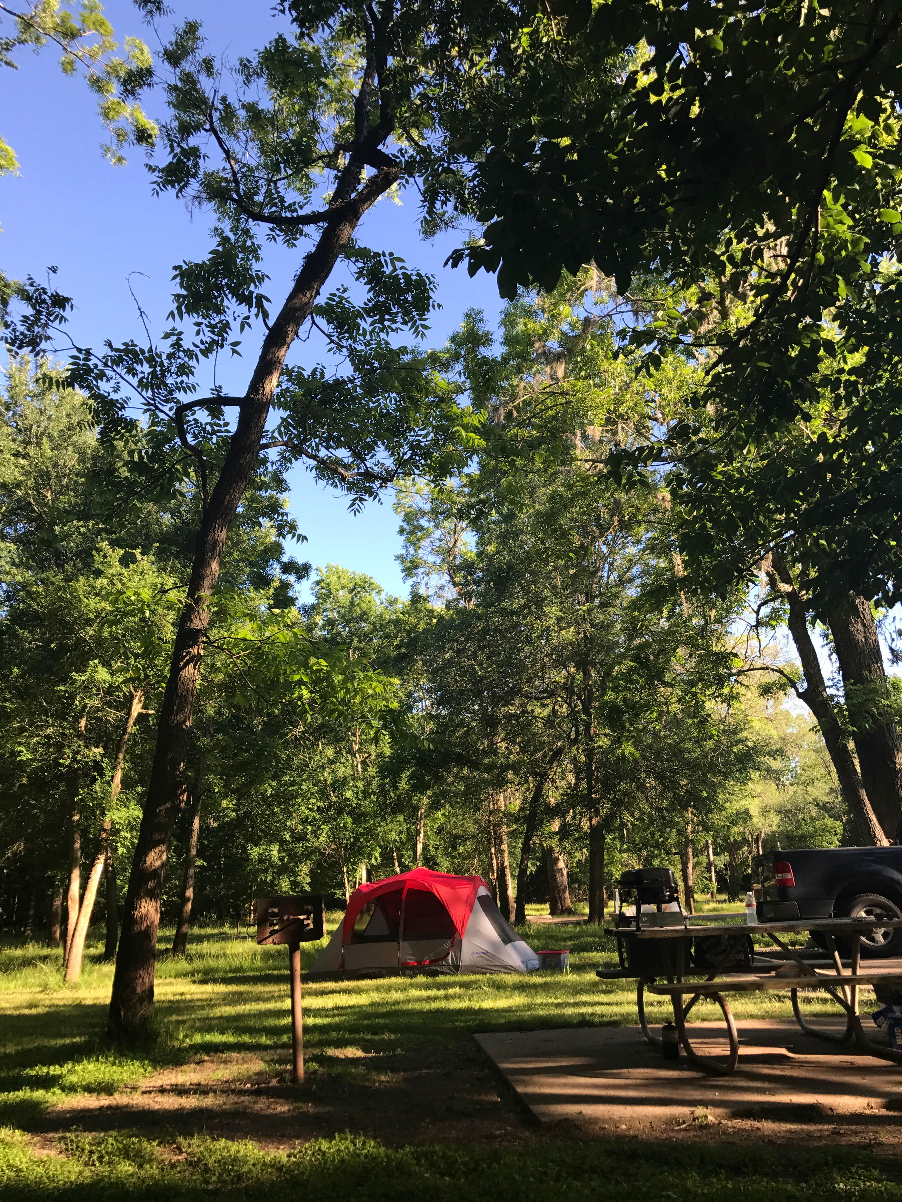 Carly H.'s photo at Brazos Bend State Park Campground near Rosharon, TX
