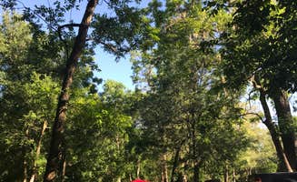 Carly H.'s photo at Brazos Bend State Park Campground near Richwood, TX