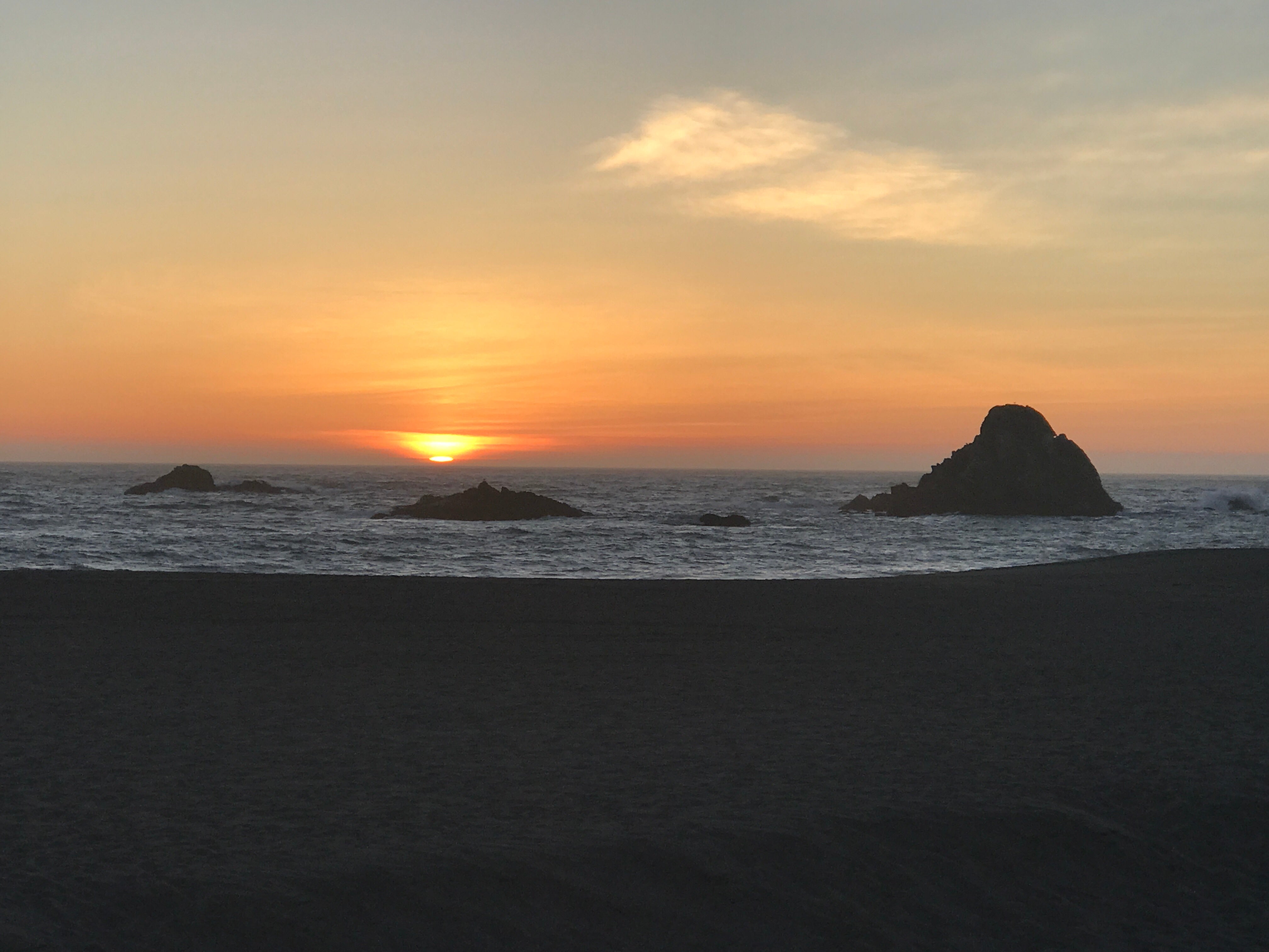 Camper submitted image from Wright's Beach Campground — Sonoma Coast State Park - 3
