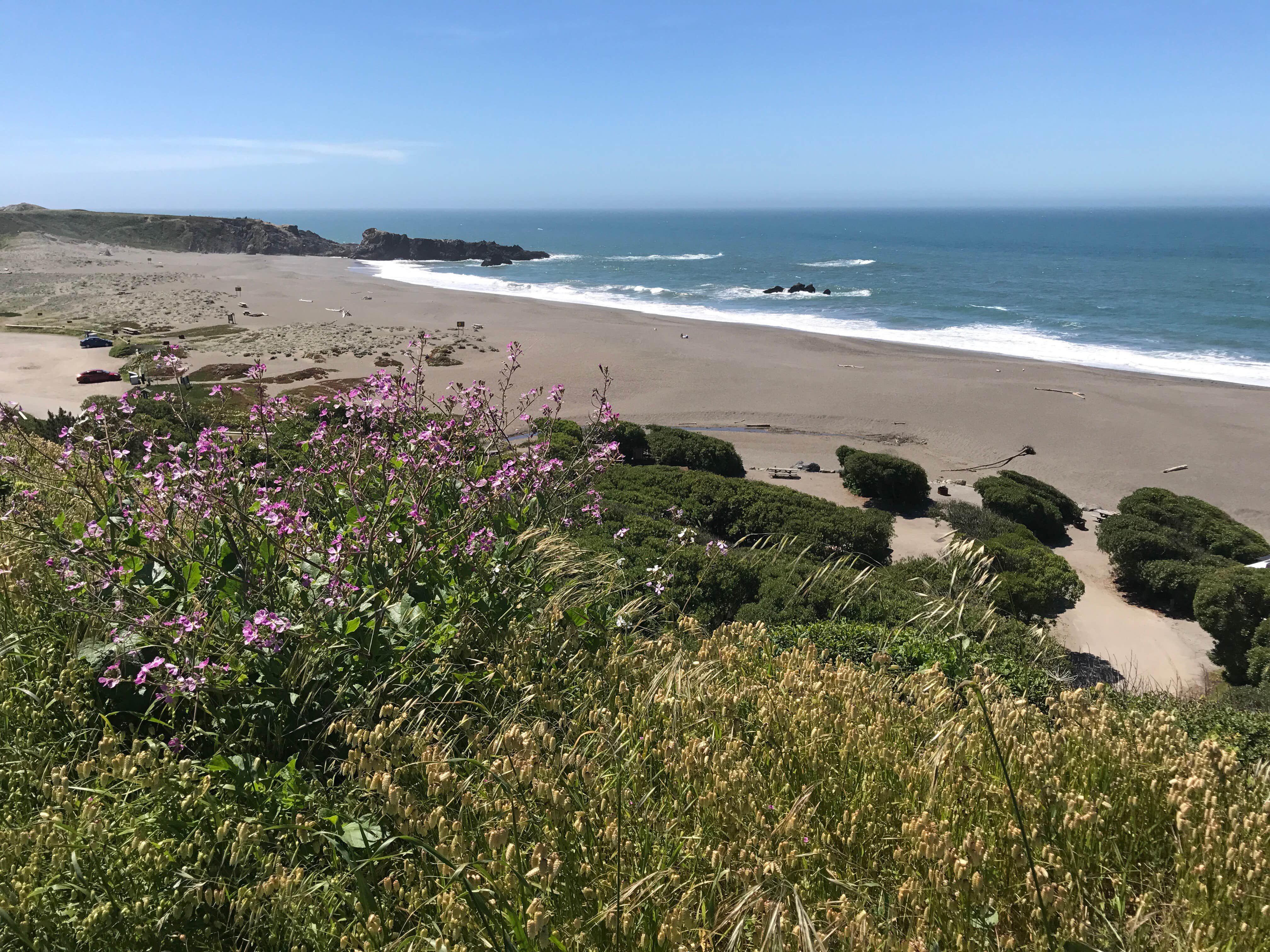 Camper submitted image from Wright's Beach Campground — Sonoma Coast State Park - 2