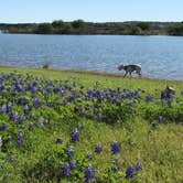 Review photo of Muleshoe Bend Recreation Area by Whitney L., May 6, 2017