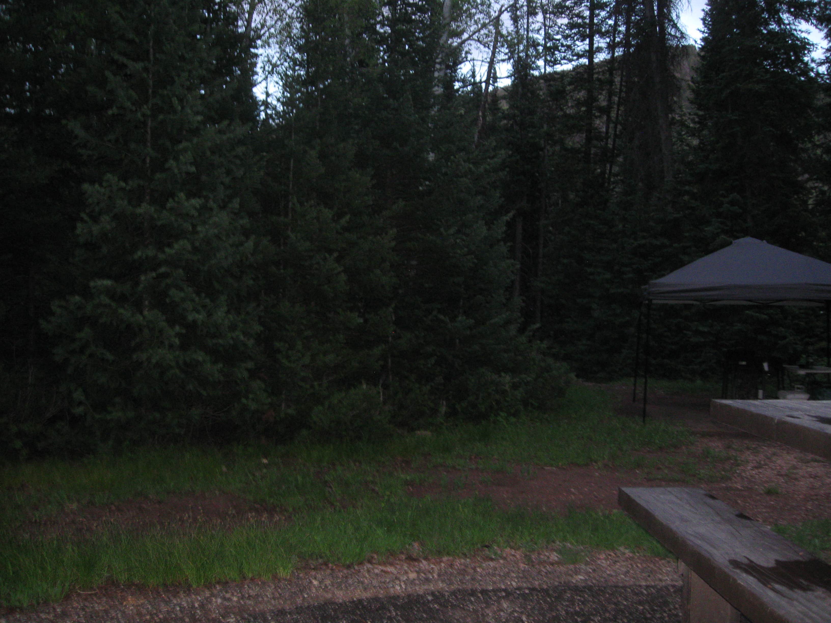 Camper submitted image from Smith-Morehouse Campground - 5