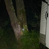 Review photo of Bullards Beach State Park Campground by Jennifer C., May 7, 2017