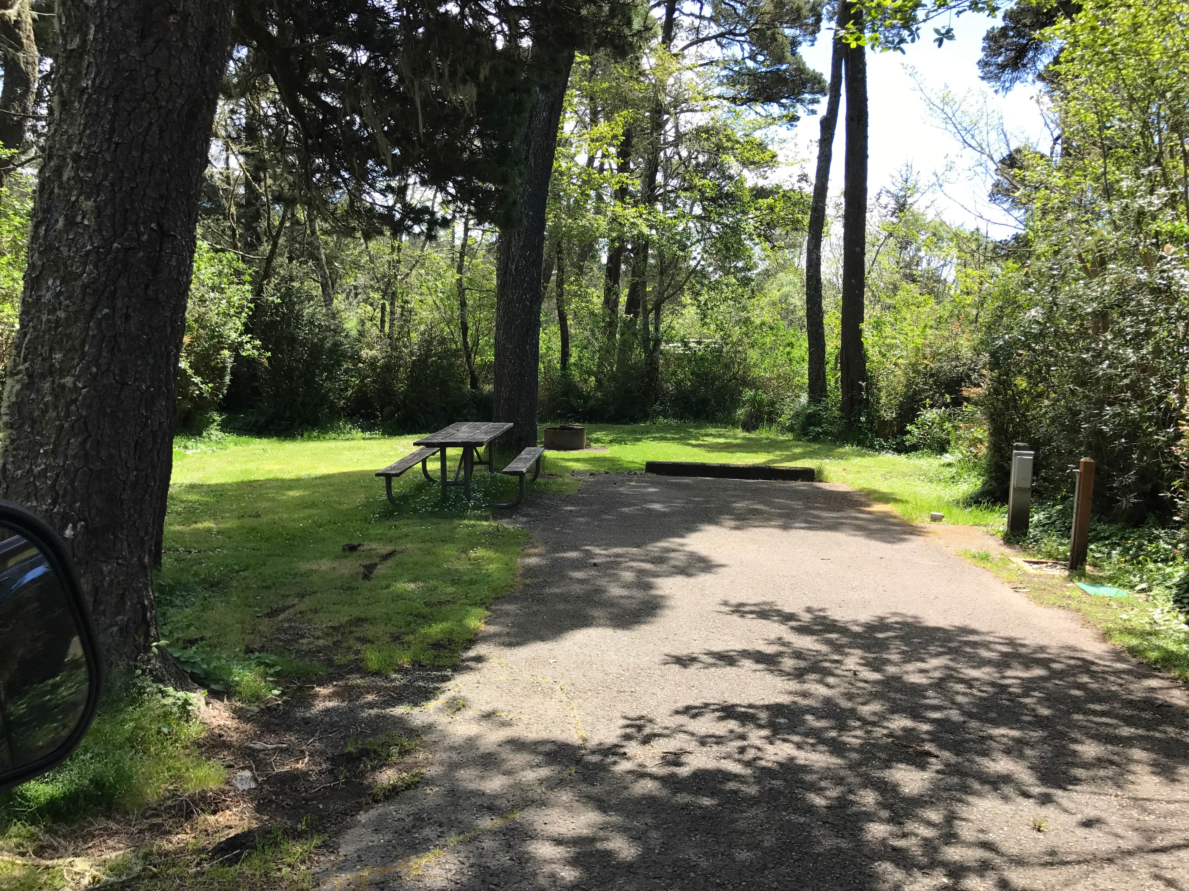 Camper submitted image from Bullards Beach State Park Campground - 2